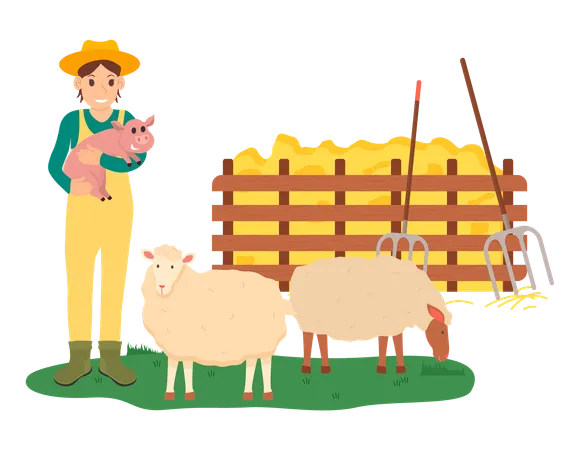 Sheep farming  Illustration