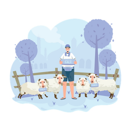 Sheep for sale  Illustration