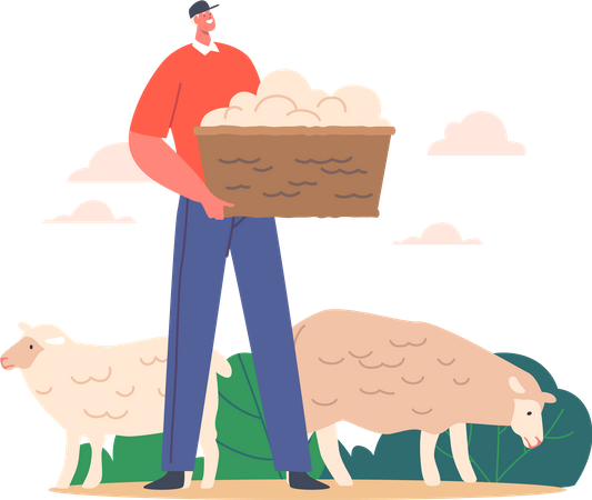 Sheepshearer Holding Basket With Sheep Wool On Livestock  イラスト