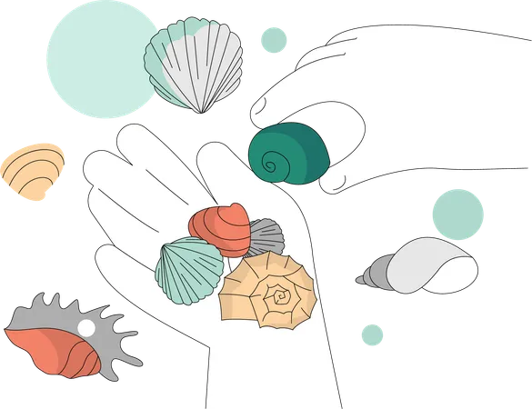 Shell collection  Illustration