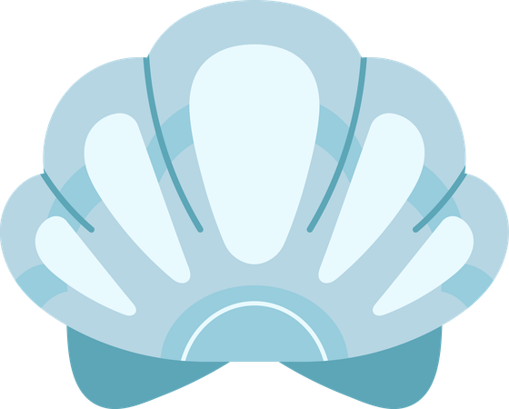 Shell floor  Illustration