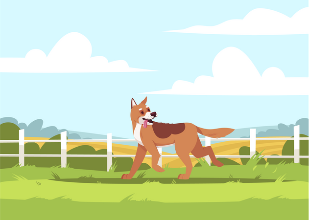 Shepherd Dog Playing At Farm  Illustration