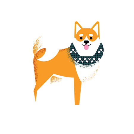 Shiba dog in a scarf  Illustration