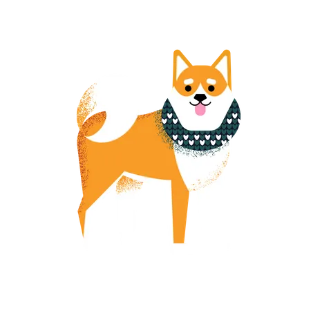 Shiba dog in a scarf  Illustration