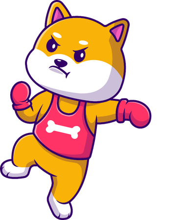 Shiba Inu Dog Boxing  Illustration