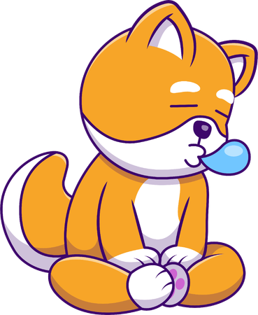 Shiba Inu Dog Fall A Sleep  Illustration