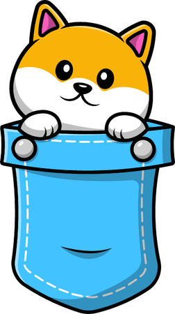 Shiba Inu Dog in Pocket  Illustration