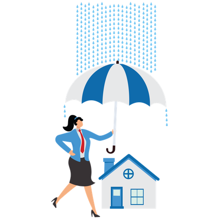 Shield, Insurance, Insurance Agent, Home Insurance, Businesswoman  Illustration