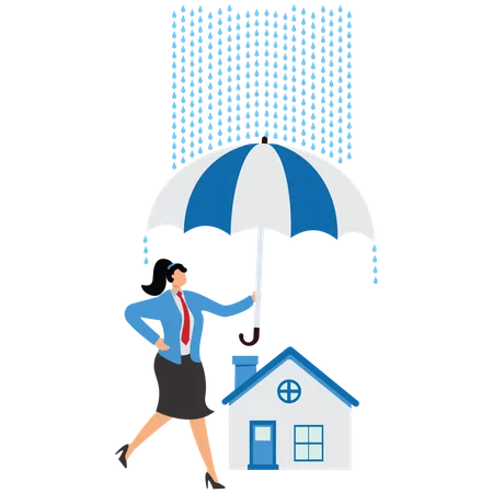 Shield, Insurance, Insurance Agent, Home Insurance, Businesswoman  Illustration