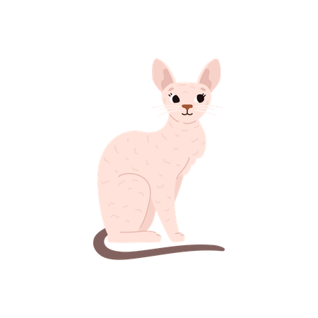 Shorthair kitten with dark tail sitting  Illustration