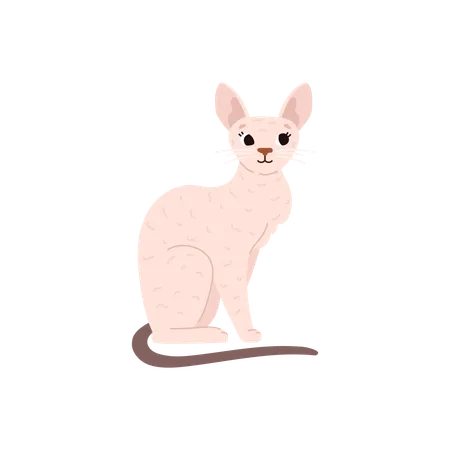 Cute Hand Drawn Cornish Rex Cat Breed Vector Illustration Isolated On White Background White Shorthair Kitty With Dark Tail Sitting Cartoon Pets Characters Illustration