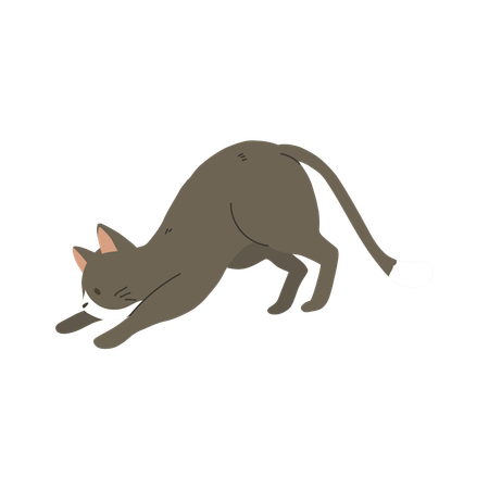 Side View of Cute Kitten Crouching or Stretching  Illustration