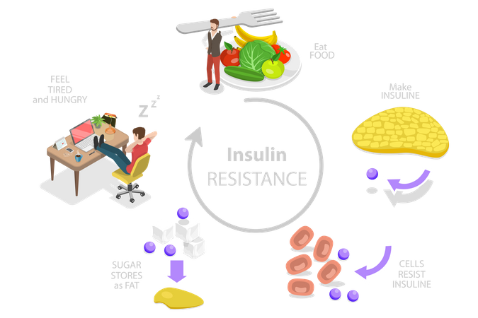 Síndrome de resistência à insulina  Ilustração