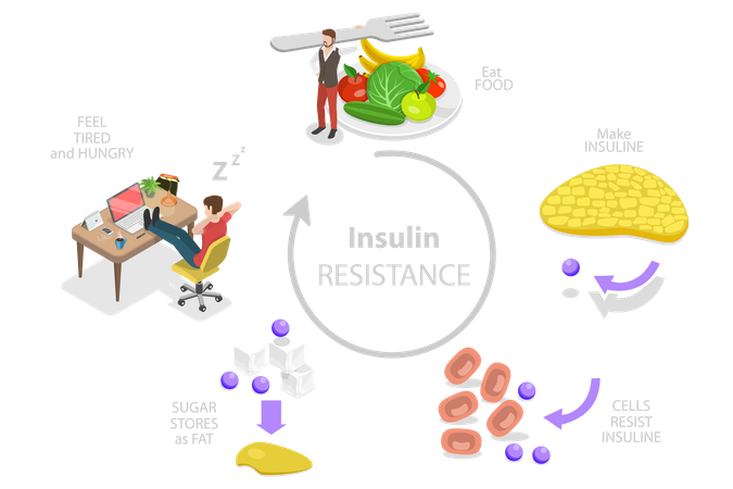 Síndrome de resistencia a la insulina  Ilustración