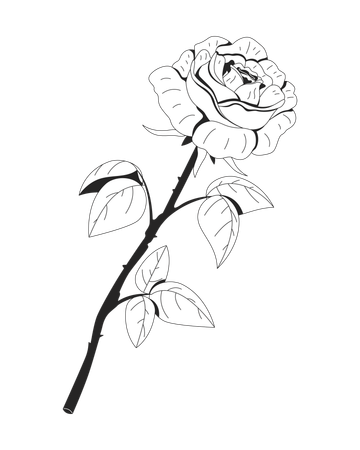 Single red rose with long stem and green leaves  Illustration