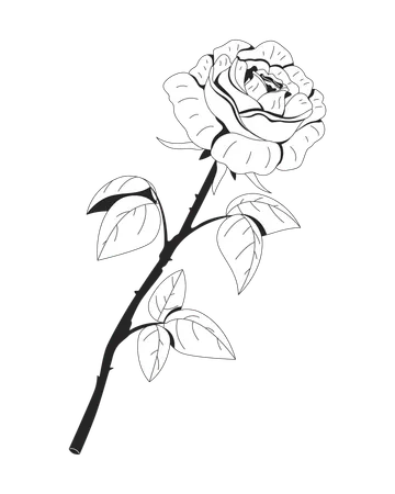 Single red rose with long stem and green leaves  Illustration