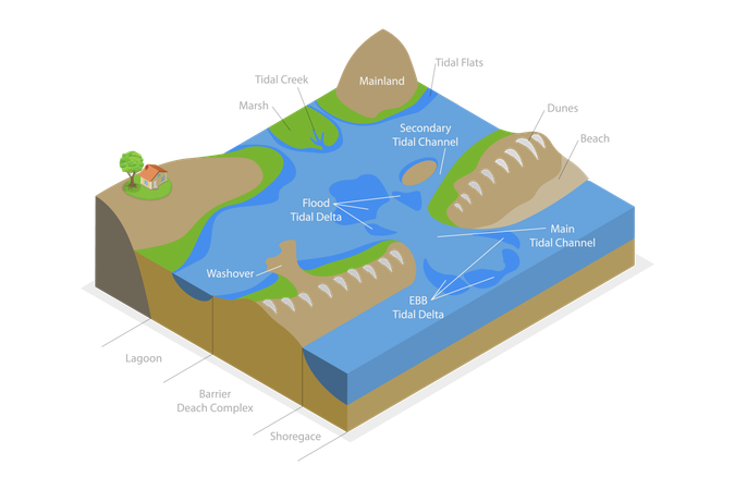 Sistema de ilha barreira  Ilustração