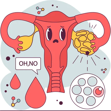 Sistema reproductivo femenino  Ilustración