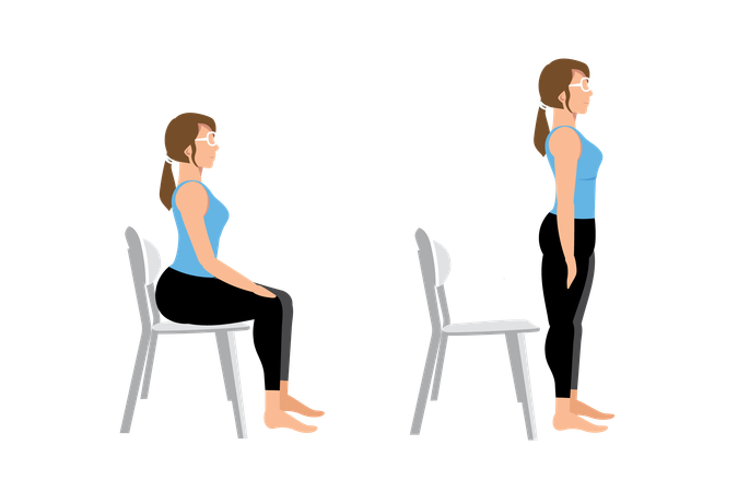 Sit to stands workout  Illustration