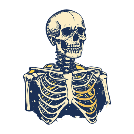 Skeleton  Illustration