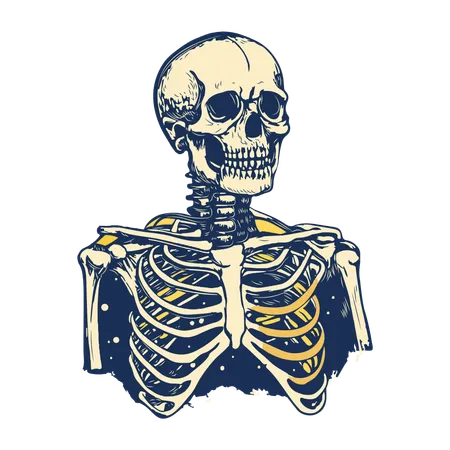 Skeleton  Illustration