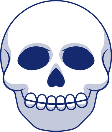Skull  Illustration