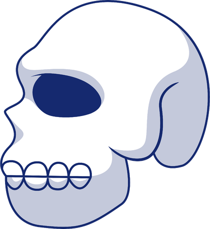 Skull  Illustration