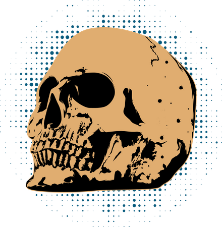 Skull Retro Vintage  Illustration