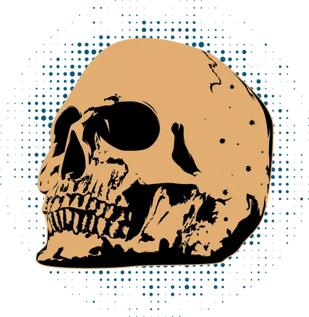 Skull Retro Vintage  Illustration