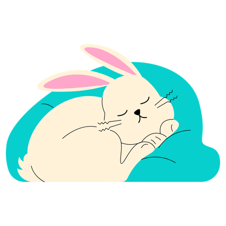 Sleeping Bunny  Illustration