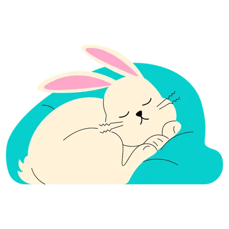 Sleeping Bunny  Illustration