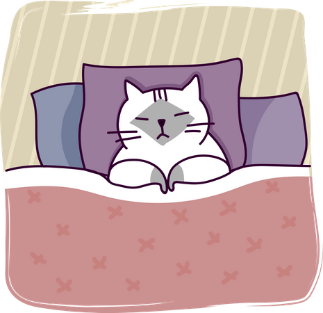 Sleeping cat  Illustration