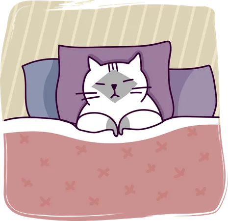 Sleeping cat  Illustration