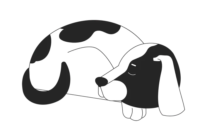 Sleeping Dog Beagle Curled Up Black And White 2 D Line Cartoon Character Sleepy Puppy Single Animal Pet Isolated Vector Outline Animal Companion Pet Pedigreed Monochromatic Flat Spot Illustration Illustration