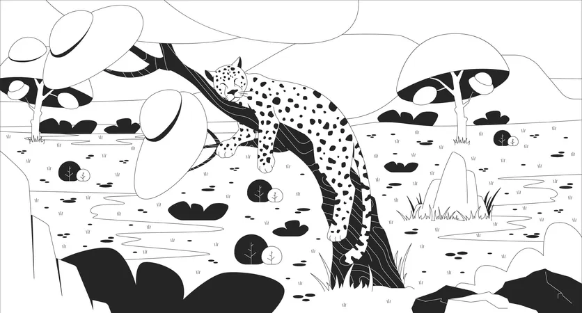 Sleeping leopard on tree in african savanna  Illustration