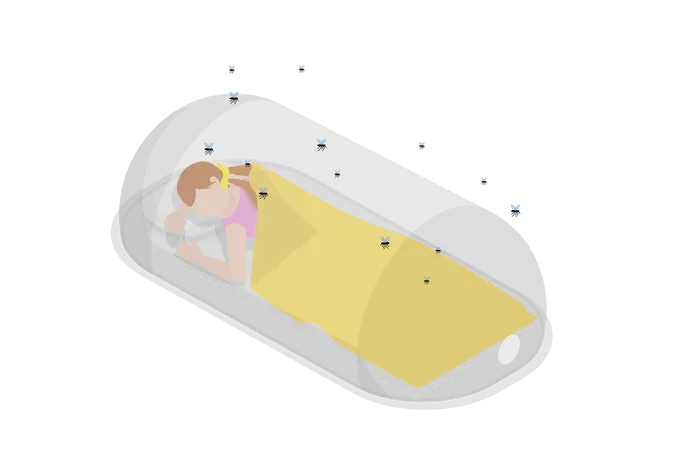 3 D Isometric Flat Vector Illustration Of Sleeping Net Mosquitoes Protection Illustration