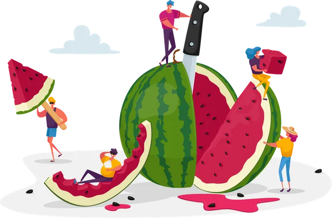 Slice of watermelon  Illustration