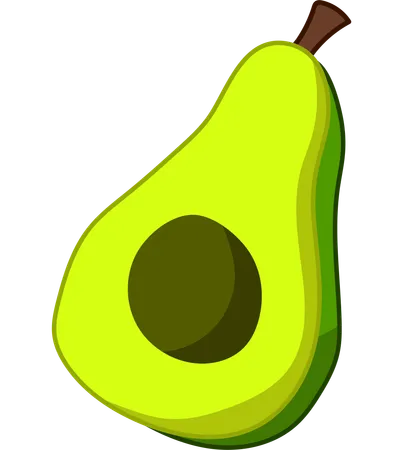 Sliced Avocado  Illustration