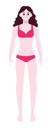 Slim Woman  Illustration