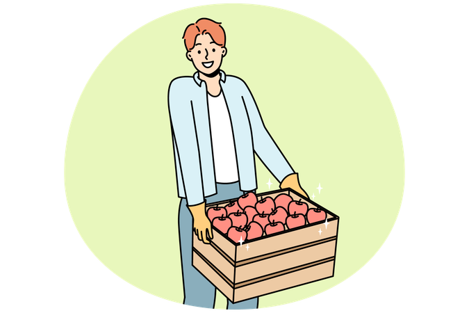 Smiling man with box of apples  Illustration