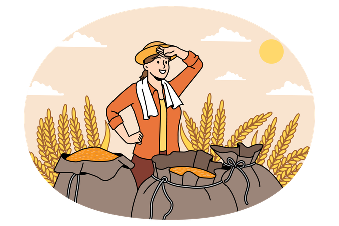 Smiling woman farmer standing after working day with sacks full of harvested rye in field  Illustration