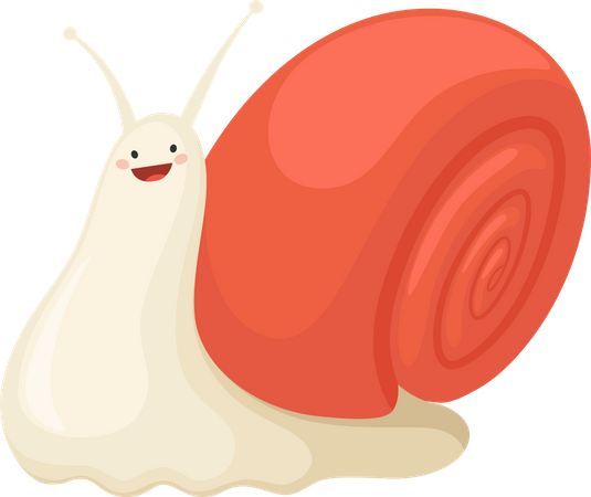 Snail  Illustration