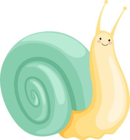 Snail  Illustration