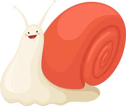 Snail  Illustration