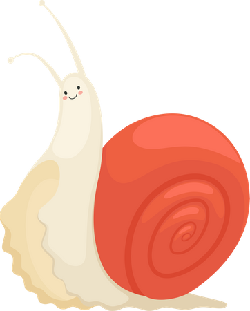 Snail  Illustration