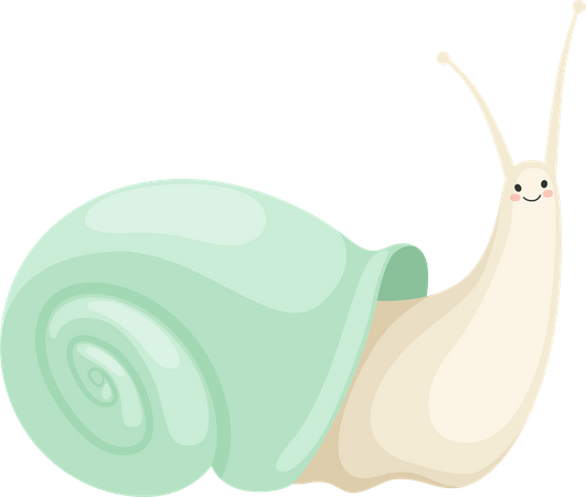 Snail  Illustration