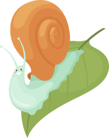 Snail on leaf Illustration