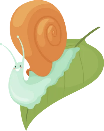 Snail on leaf Illustration