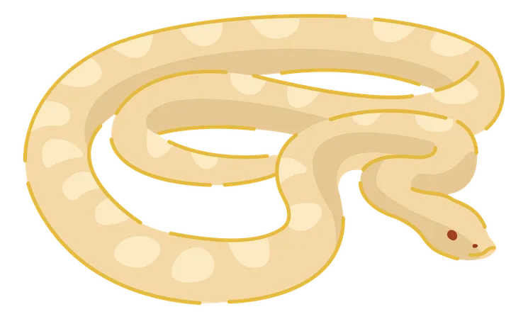 Snake  Illustration