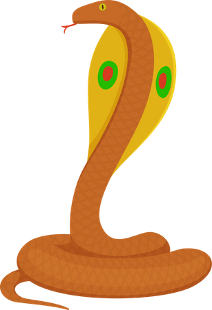 Snake  Illustration
